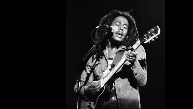 6  fatgs davart Bob Marley