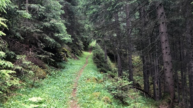 Legendas da la Val Schons – Il til da bara dal Plàn dals morts