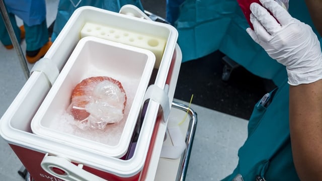 Emprima retschertga: Gea per la lescha per la donaziun d'organs
