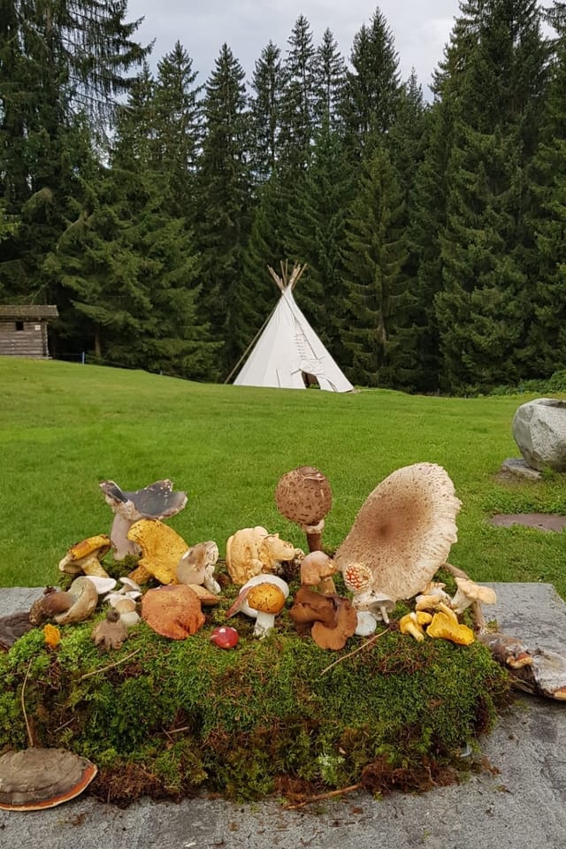 Cussegliaziun da bulieus Surselva.