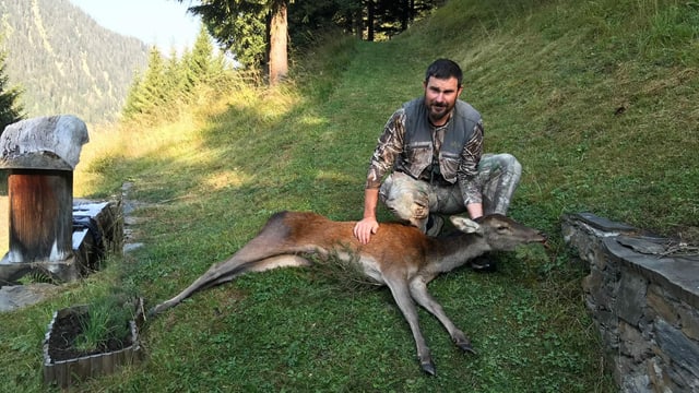 Vatga-tschierv da Manuel Eicher sajettà sper la tegia da Zeznas a Duvin.
