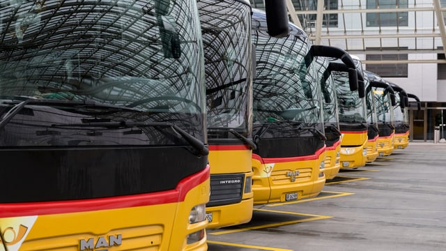 Bunura: AutoDaPosta stritga purschida da viadis