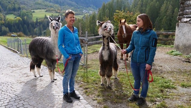 Christine e Brida Cantineni cun lur alpacas.
