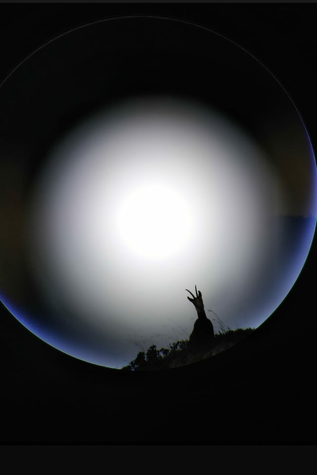 Foto da chatscha.