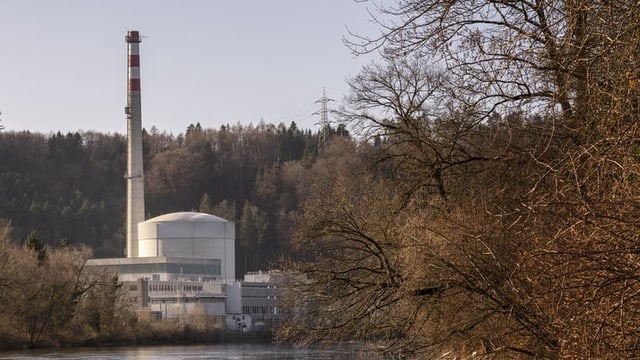 Ovra atomara Mühleberg vegn demontada