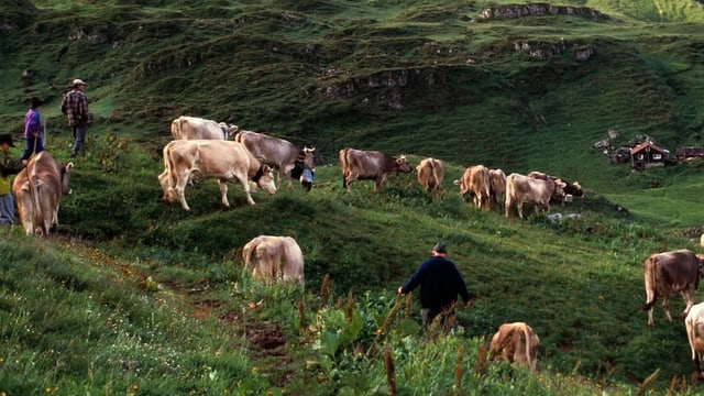 Iniziativa da limitaziun: La agricultura profitass