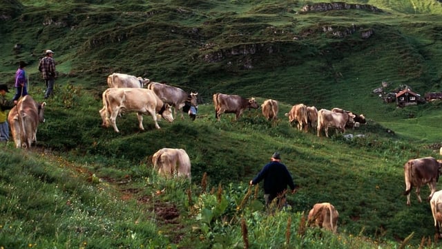 Iniziativa da limitaziun: La agricultura profitass