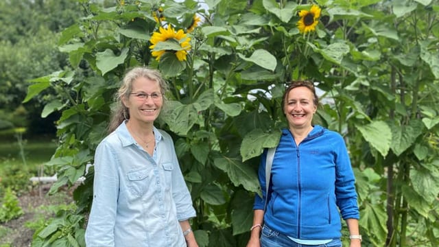 Surbajegiada: Fa l'Abitadi Waldhaus planisà empaglia biodiversitad?