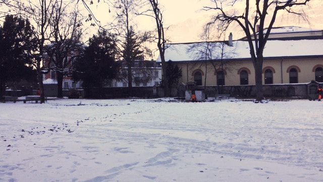 Il Stadtgarten a Cuira vegn restaurà. 