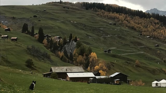 SoLaWi: persunas da la Bassa gidan sin bain puril