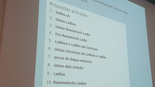 Propostas per l'uniun rumantscha in Engiadina, Val Müstair e Bravuogn