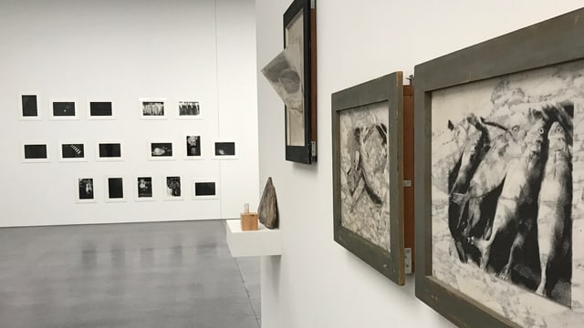 L’exposiziun en il museum d’art a Cuira collia las differentas ovras da Hans Danuser dals ultims 35 onns.
