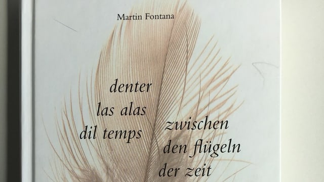 Martin Fontana: Poesias naschidas en la natira