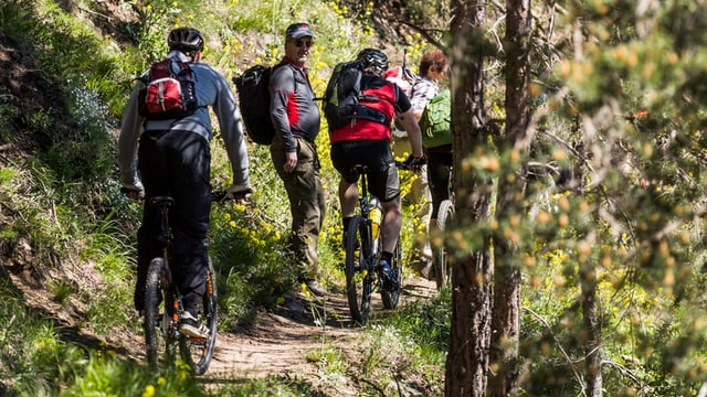 Saira: Viandants vs. Mountainbikers – quant gronds èn ils problems?