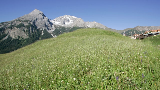 Saira: Cudesch da viandar: Preda-Bravuogn-Filisur
