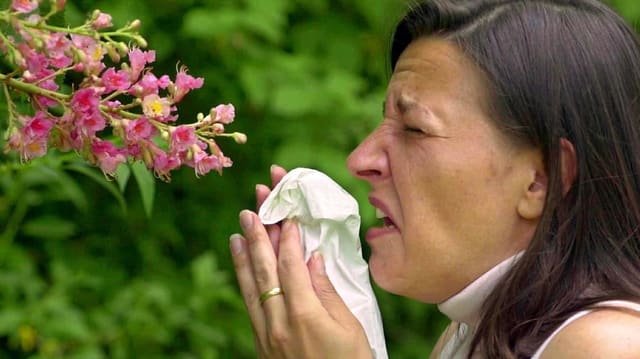 allergicra da pollens