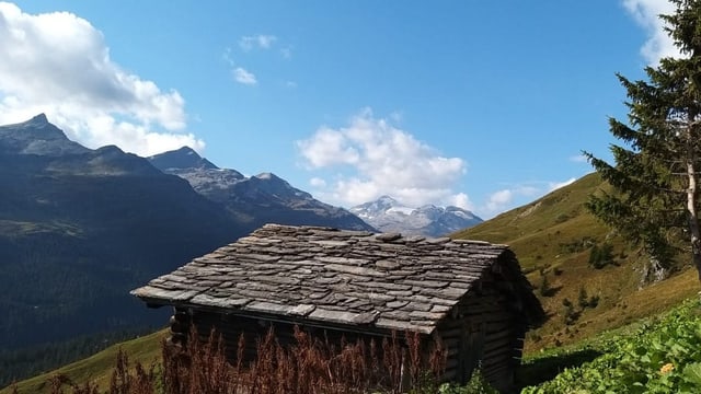 Il cuschinar ed il viver si en la tegia a Val