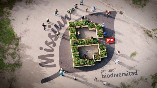 Missiun B: la biodiversitad resta tema tar RTR, era suenter la fin da l’acziun