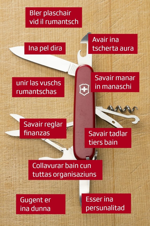 Grafica cun las qualificaziuns giavischadas. Grafica cun las qualificaziuns giavischadas.