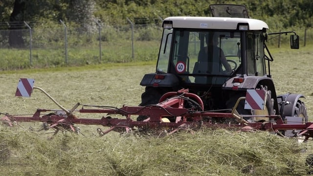 Mezdi: Racolta da fain – Plantahof ed uniun purila