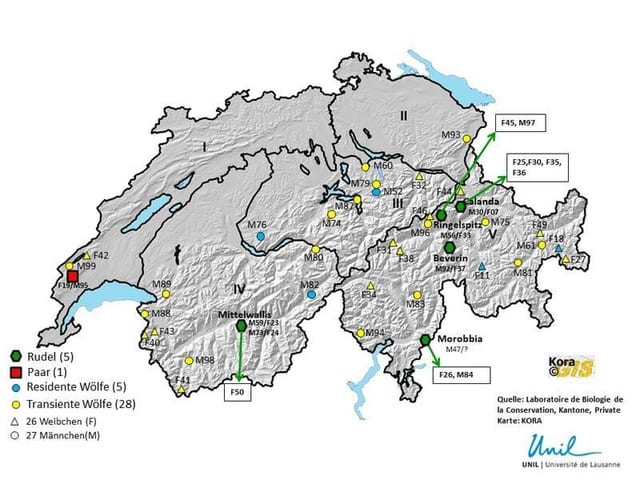 Carta geografica che mussa ils lufs identifitgads en la Svizra Carta geografica che mussa ils lufs identifitgads en la Svizra