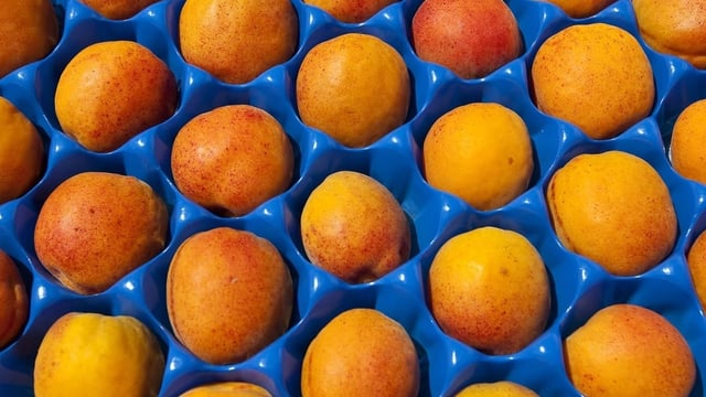 HelveCHia: Apricosas en il Vallais