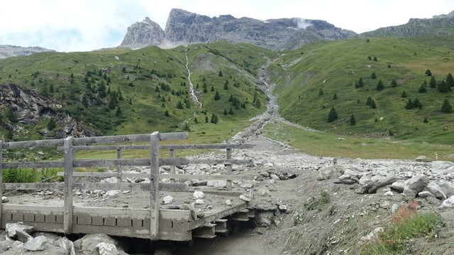 Saira: Perditgas da la bova en Val Faller raquintan