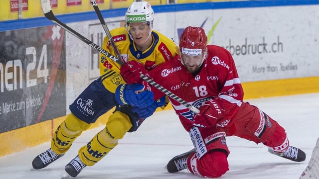 Hockey: Prevista sin playoffs per Tavau