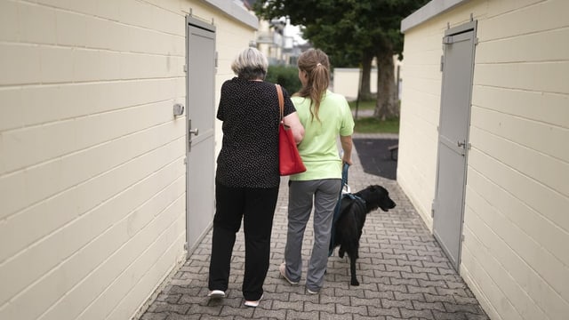 Tgira a chasa è relevanta per il sistem