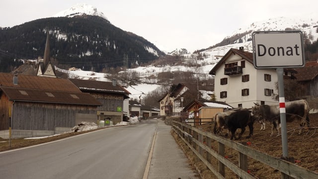 Mezdi: No Billag – Reacziuns da Donat