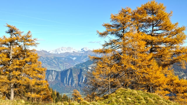 Parc da natira Rätikon: Saira d' informaziun - facit suenter emprima occurenza