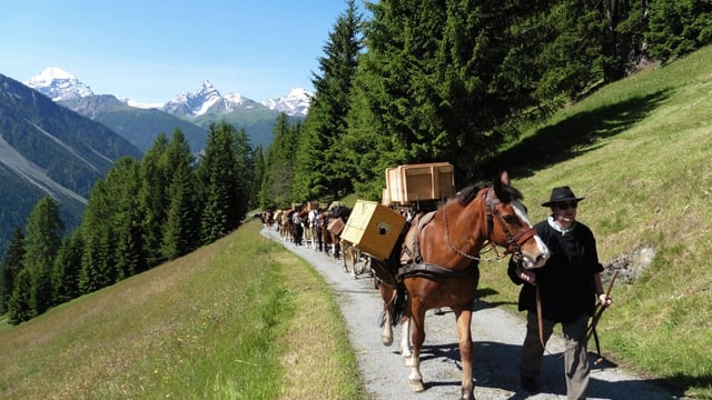 Bunura: Trec da sauma – l'istorgia dals berniers en il Grischun