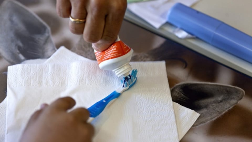 Products cosmetics sco pasta da dents pon cuntegnair microplastic.