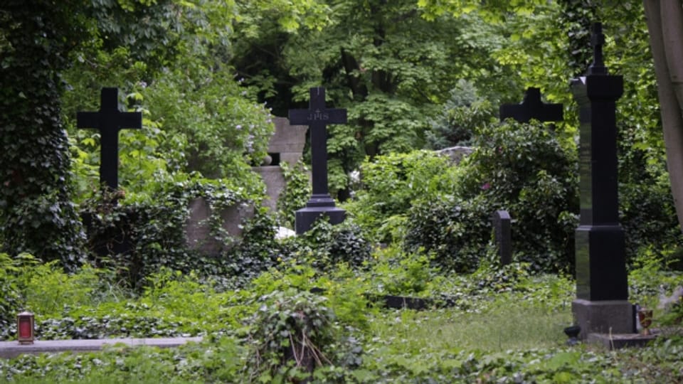 Il santeri dals pajauns - Vita e cretta - RTR