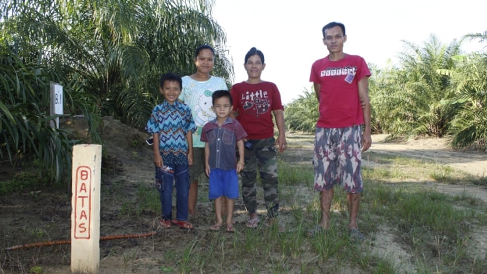 Palmas d’ieli pericliteschan l’existenza da la famiglia Abey sin l’insla Borneo en l’Indonesia