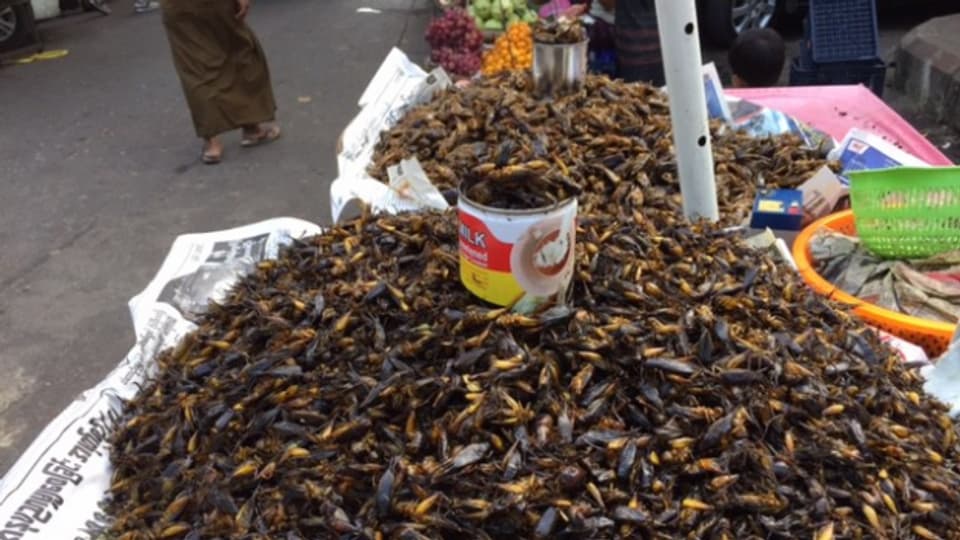 Insects da mangiar a Myanmar.