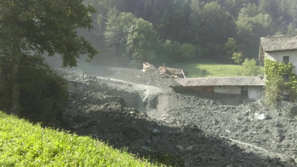 La bova a Bondo ha chaschunà gronds donns