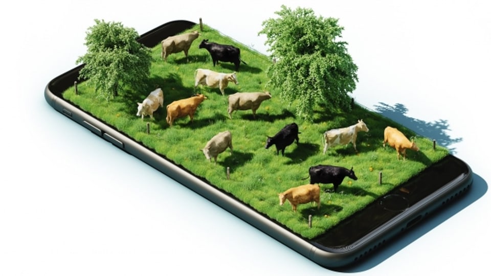 L'agricultura è be ina da bleras spartas nua che la digitalisaziun è daventada in element central.