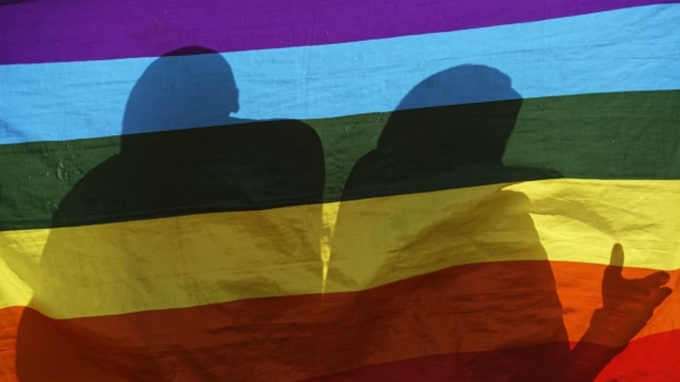 La bandiera da l'artg s. Martin vegn savens duvrà da la cuminanza dals LGBTQs.