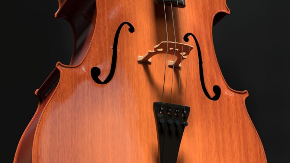 Violoncello, u curt cello – in instrument plain fassettas.