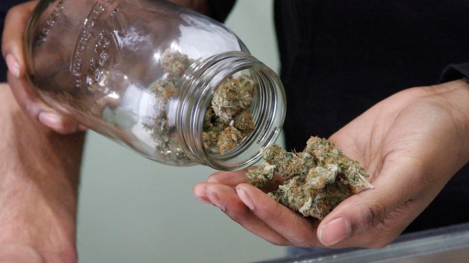 Um derscha cannabis ord in vaider sin ses maun.