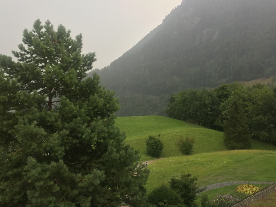 Cuntrada.