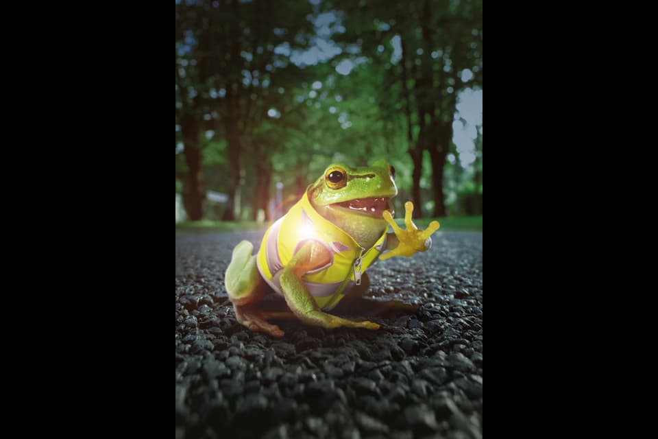 BFU Kampagne: Frosch mit Leuchtweste.
