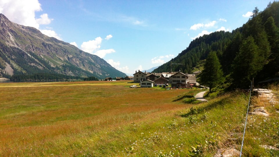 Isola da stad