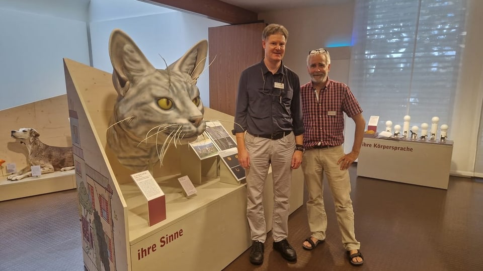 Es ist eine Museumsausstellung zu sehen. Zwei Männer stehen vor einem Exponat.