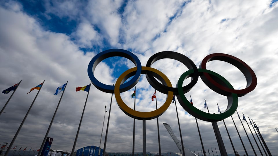 purtret dals rintgs olimpics