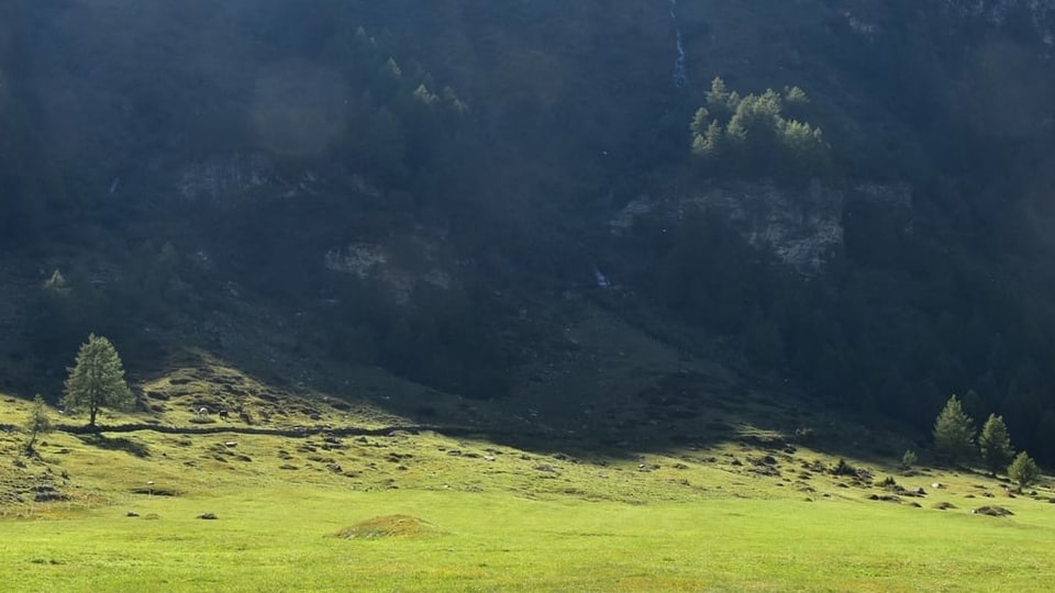 Lieu, nua ch'ins ha chattà la vatga.