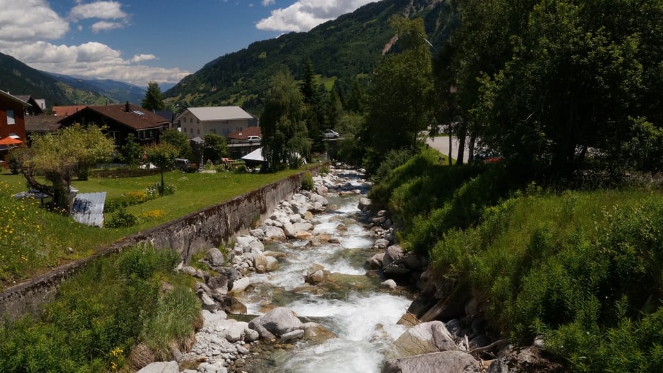 Purtret da la Val Acletta