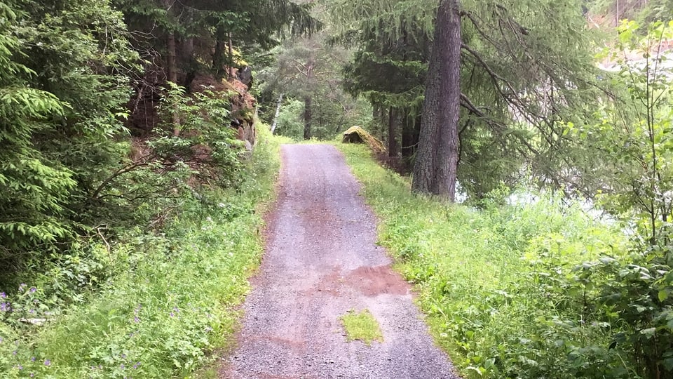 Ina da las vias da guaud a Zernez che duai vegnir megliurada e gist schlargiada. 