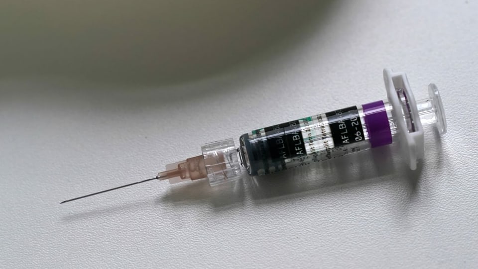 purtret d'ina squitta da vaccin. 